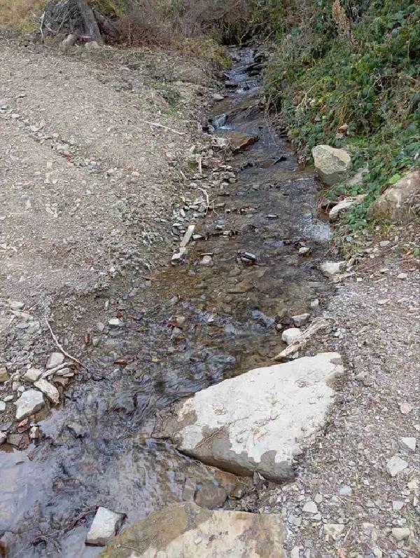  - фото нерухомості
